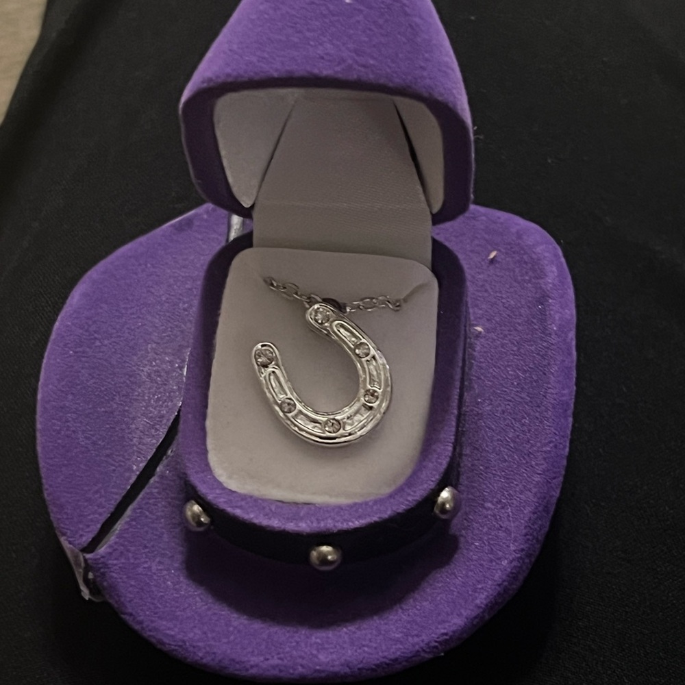 Horseshoe shaped cubic zirconia necklace